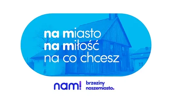 Koncertowe lato w regionie: Skolim, Edyta Górniak, Zenek Martyniuk i inni zagrają w weekend