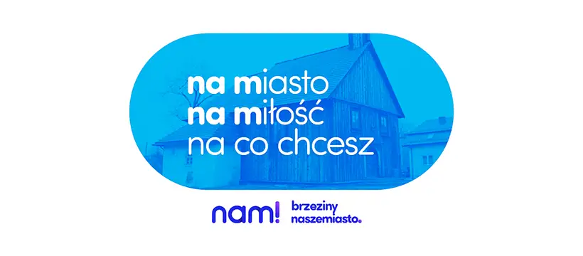 Koncertowe lato w regionie: Skolim, Edyta Górniak, Zenek Martyniuk i inni zagrają w weekend