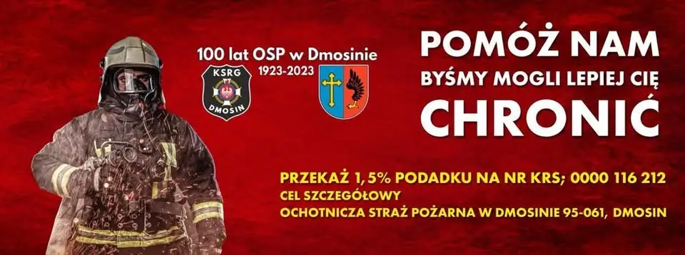 Drzewo na linii energetycznej w Wiesiołowie. Strażacy usunęli zagrożenie