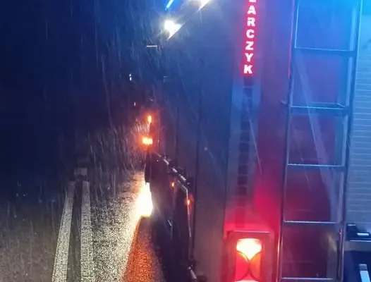 Miejscowe zagrożenie w Brzezinach – interwencja OSP Kraśniczyn i OSP Brzeziny