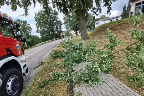 OSP Rogów usuwa powaloną gałąź na ul. Raciborskiej