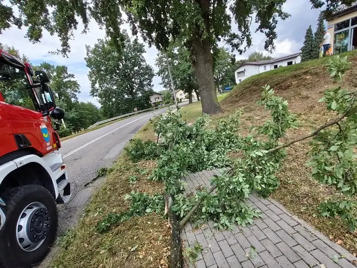 OSP Rogów usuwa powaloną gałąź na ul. Raciborskiej