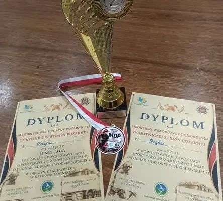 Młodzieżowe Drużyny Pożarnicze z powiatu wodzisławskiego rywalizowały w Lubomi