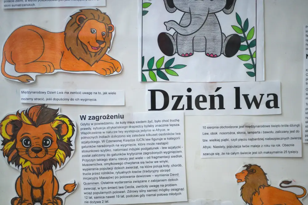 Dzień Lwa w bibliotece w Brzezinach – ekspozycja przypomina o zagrożonym gatunku