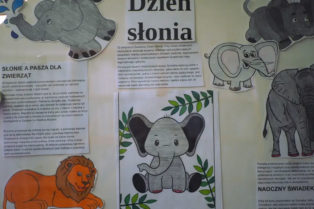 Dzień Słonia w bibliotece – edukacyjna ekspozycja w Oddziale dla Dzieci