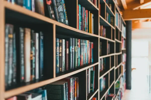 Miejska Biblioteka w Brzezinach wraca do stałych godzin po wakacjach