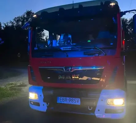 Interwencje OSP Brzeziny: od owadów po kolizję drogową