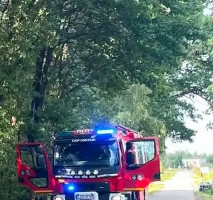 Pochylone drzewo nad drogą gminną w Osinach – interwencja strażaków