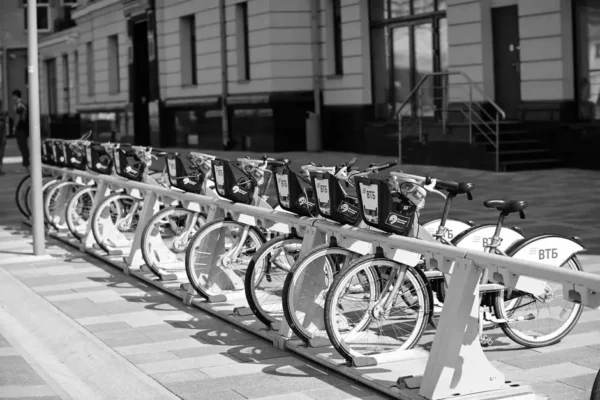 Dzień Bez Samochodu 2026 – zostaw auto w garażu i wybierz rower lub komunikację miejską