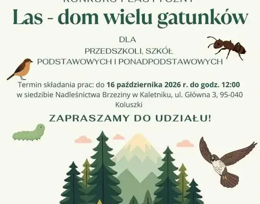 Konkurs plastyczny „Las – dom wielu gatunków” – Nadleśnictwo Brzeziny zaprasza dzieci i młodzież