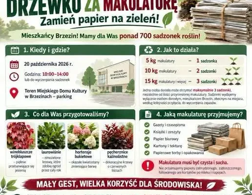 Brzeziny: wymień makulaturę na sadzonki – akcja już jutro
