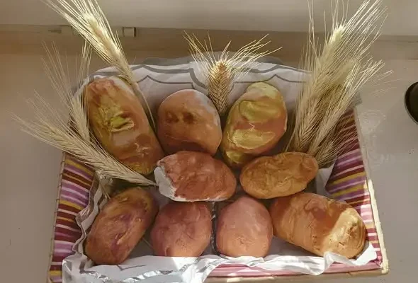 Przedszkolaki ze Słoneczek poznały drogę „od ziarenka do bochenka”